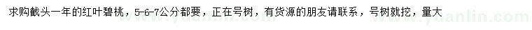 求购5、6、7公分红叶碧桃