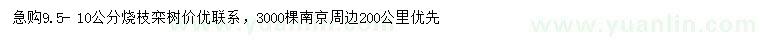 求购9.5-10公分烧枝栾
