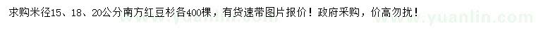 求购米径15、18、20公分南方红豆杉