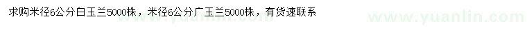 求购米径6公分白玉兰、广玉兰