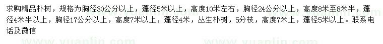 求购胸径17、24、30公分以上精品朴树