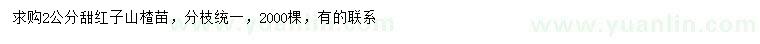 求购2公分甜红子山楂