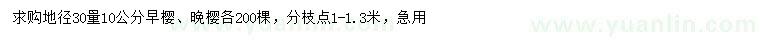 求购地径30公分量10公分早樱、晚樱