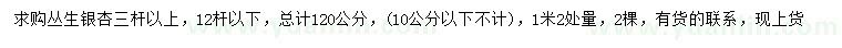 求购1.2米量3杆以上丛生银杏