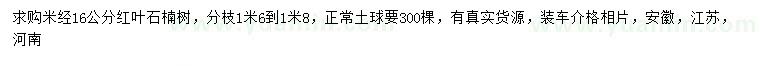 求购米经16公分红叶石楠树