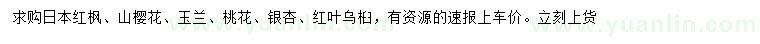 求购日本红枫、山樱花、玉兰等