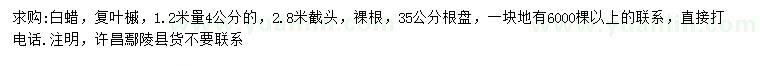 求购1.2米量4公分白蜡、复叶槭