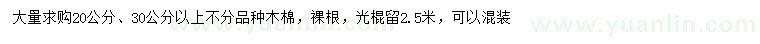 求购20、30公分以上木棉