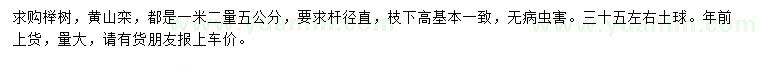 求购1.2米量5公分榉树、黄山栾