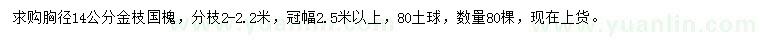 求购胸径14公分金枝国槐