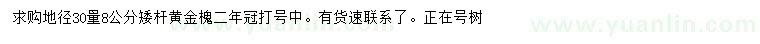 求购地径30量8公分矮杆黄金槐