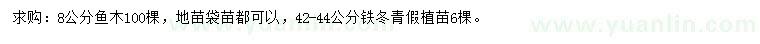 求购8公分鱼木、42-44公分铁冬青