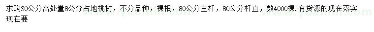 求购高30公分量8公分占地桃树