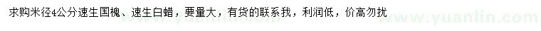 求购米径4公分速生国槐、速生白蜡