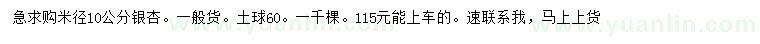 求购米径10公分银杏