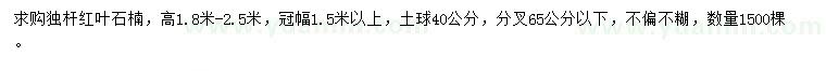 求购高1.8-2.5米独杆红叶石楠