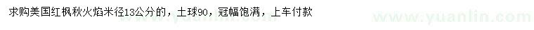 求购米径13公分美国红枫秋火焰