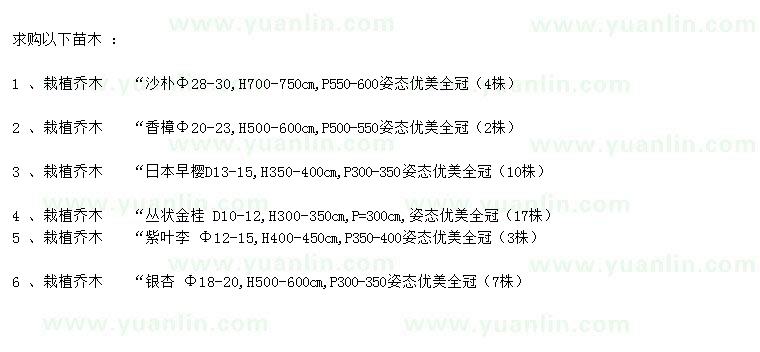 求购香樟、日本早樱、丛状金桂等