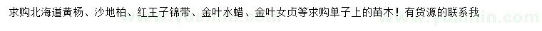 求购北海道黄杨、沙地柏、红王子锦带等