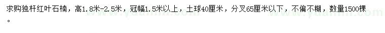 求购高1.8米-2.5米独杆红叶石楠