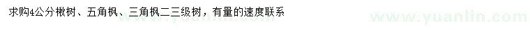 求购楸树、五角枫、三角枫