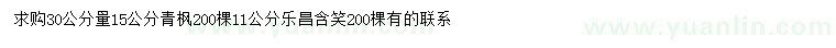 求购30公分量15公分青枫、11公分乐昌含笑