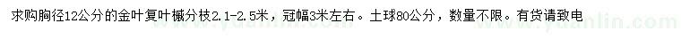 求购胸径12公分金叶复叶槭