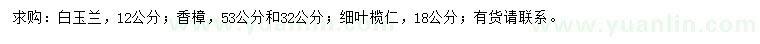 求购白玉兰、香樟、细叶榄仁