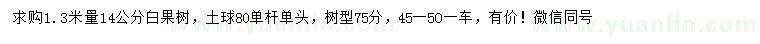 求购1.3米量14公分白果树