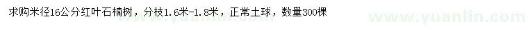 求购米径16公分红叶石楠树