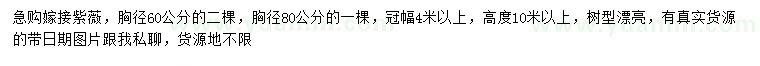 求购胸径60、80公分嫁接紫薇