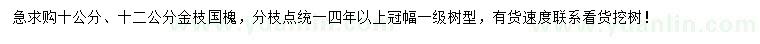 求购10、12公分金枝国槐