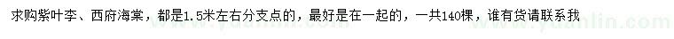 求购分枝1.5米左右紫叶李、西府海棠
