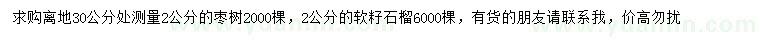 求购30公分量2公分枣树、2公分软籽石榴