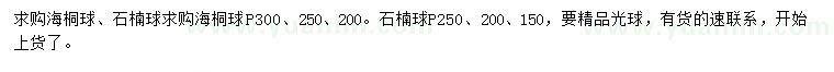 求购求冠幅200、250、300公分海桐球、150、200、250公分石楠球