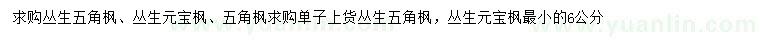 求购丛生五角枫、丛生元宝枫、五角枫等