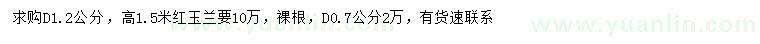 求购地径0.7、1.2公分红玉兰