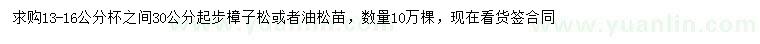 求购30公分起步樟子松或者油松