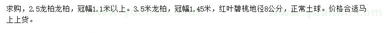 求购2.5、3.5米龙柏、地径8公分红叶碧桃