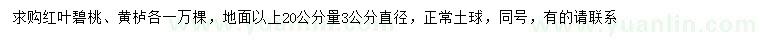 求购20量3公分红叶碧桃、黄栌