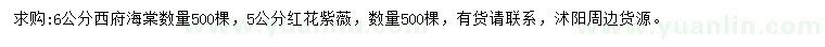 求购6公分西府海棠、5公分红花紫薇