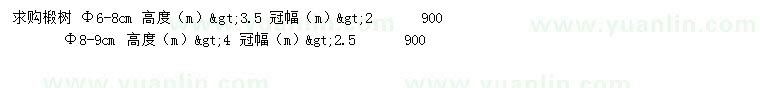 求购直径6-8、8-9公分椴树