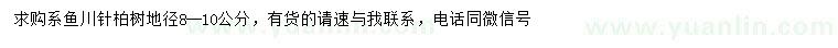 求购地径8-10公分系鱼川针柏树