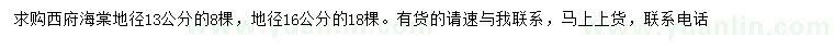 求购地径13、16公分西府海棠