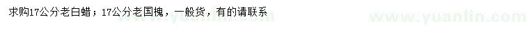 求购17公分老白蜡、老国槐