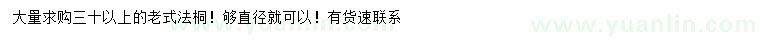 求购30公分以上老式法桐