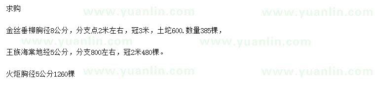 求购金丝垂柳、王族海棠、火炬树