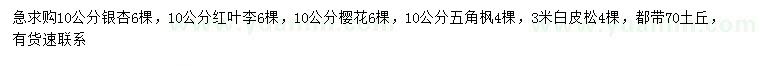 求购银杏、红叶李、樱花等