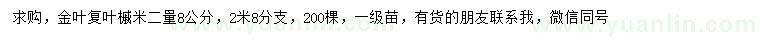 求购8公分金叶复叶槭