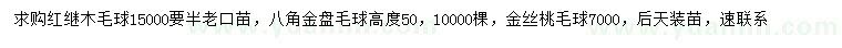 求购红花继木球、八角金盘球、金丝桃球